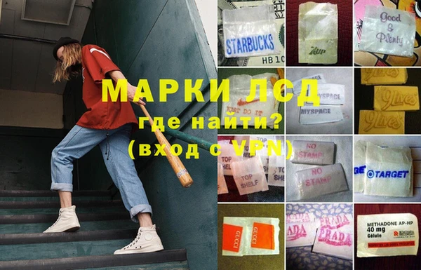 mdpv Новодвинск