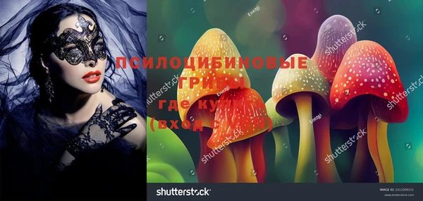 твердый Нефтегорск